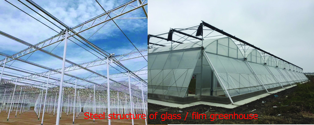 Greenhouse steel structure