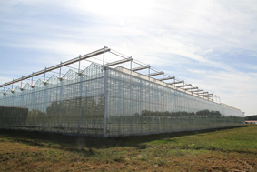 Glass greenhouse