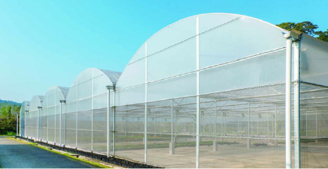 Film greenhouse