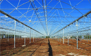 Steel structure of film greenhouse