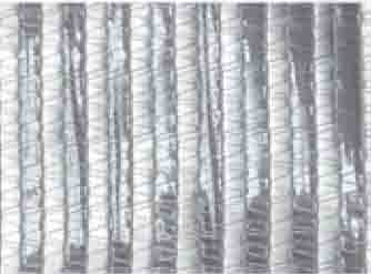 Shading fabric