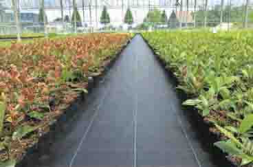Ground fabric
